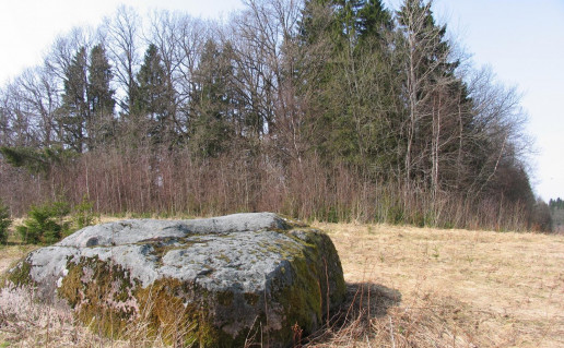 8_Ubagu kalno akmuo. G. Sidabrienes nuotr..jpg